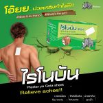RHINOBUN Pain Relief Plaster 10 Sheets x 20 Packets From Thailand - Image 3