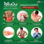RHINOBUN Pain Relief Plaster 10 Sheets x 20 Packets From Thailand - Image 4