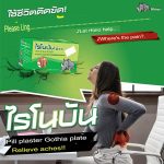 RHINOBUN Pain Relief Plaster 10 Sheets x 20 Packets From Thailand - Image 6